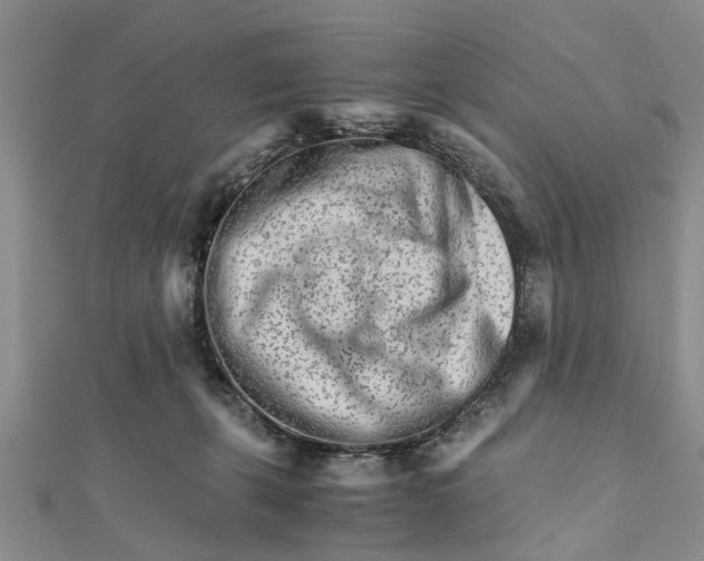 X0000111680271200908141456