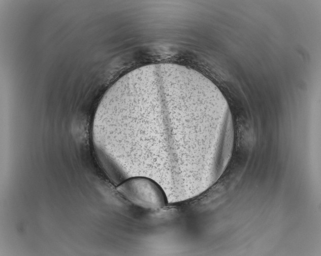 X0000111680274200908141456