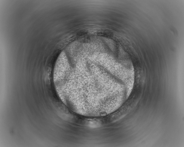 X0000111680275200908141456