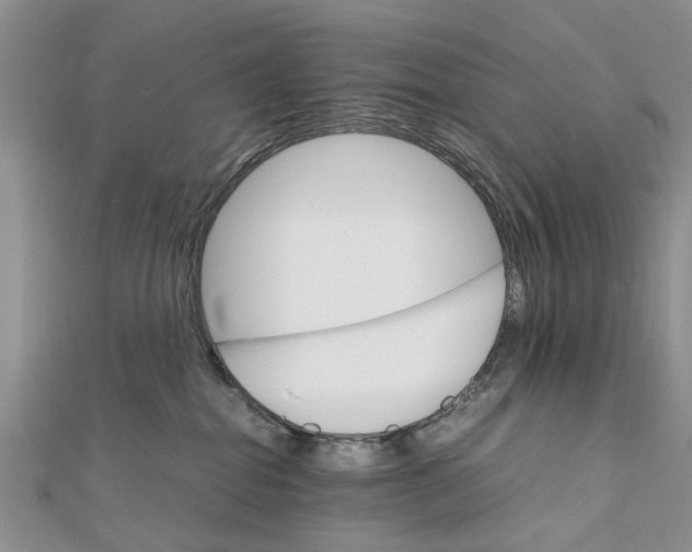 X0000111680282200908141456