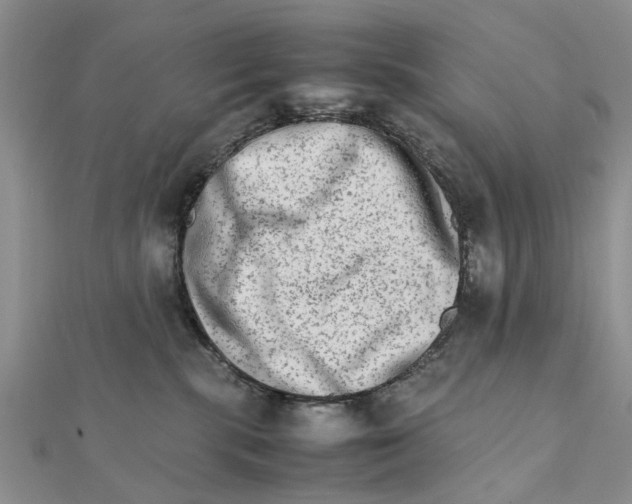 X0000111680283200908141456