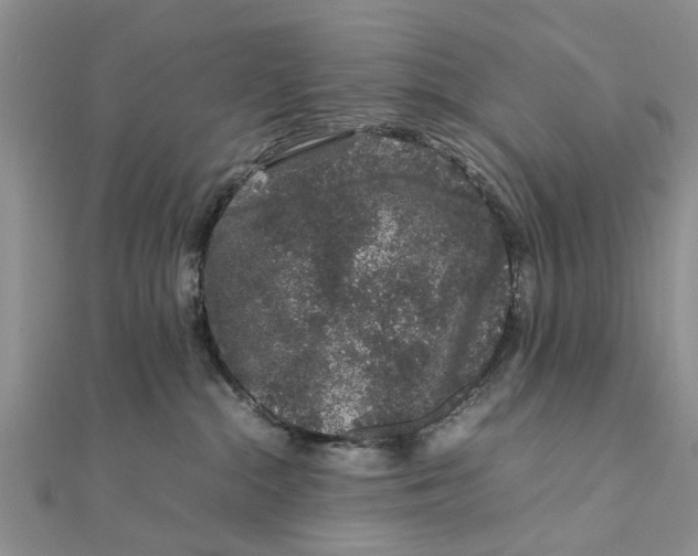 X0000111680284200908141456