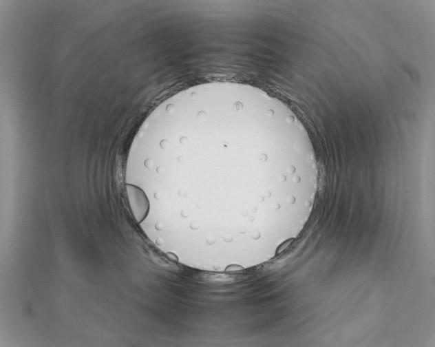 X0000111680287200908141456