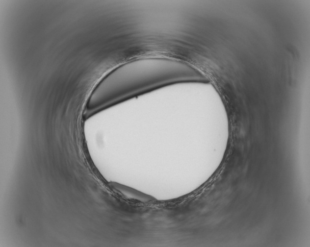 X0000111680289200908141456