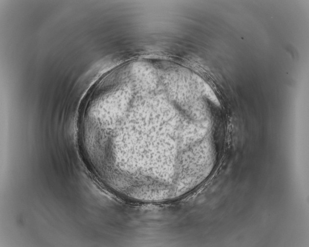 X0000111680290200908141455