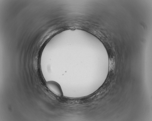 X0000111680291200908141455