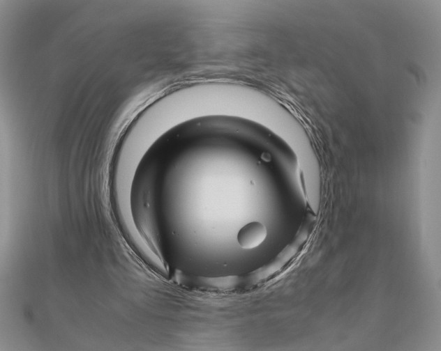 X0000111680293200908141455