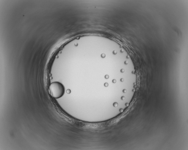 X0000111680294200908141455