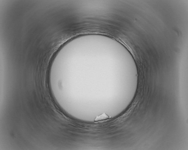 X0000111680301200908141455