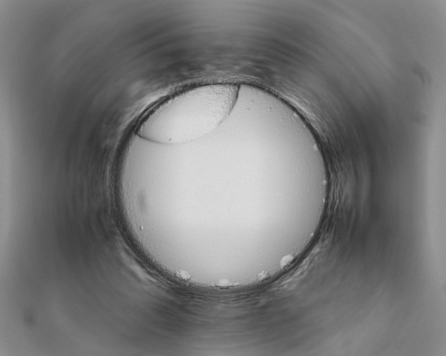 X0000111680302200908141455