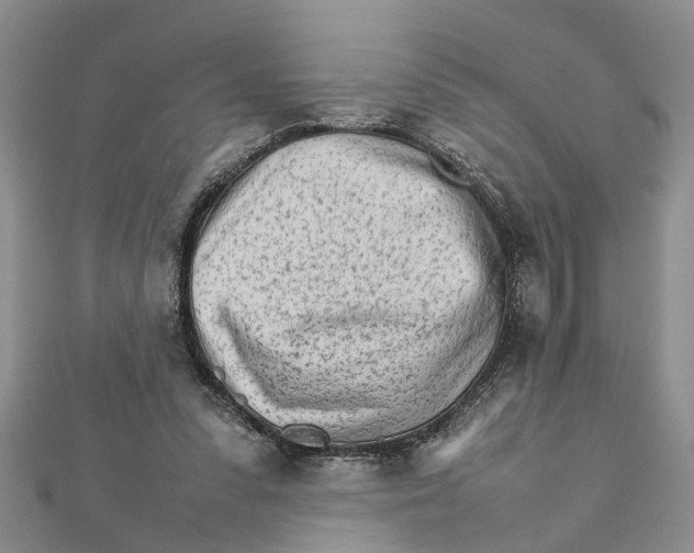 X0000111680303200908141455