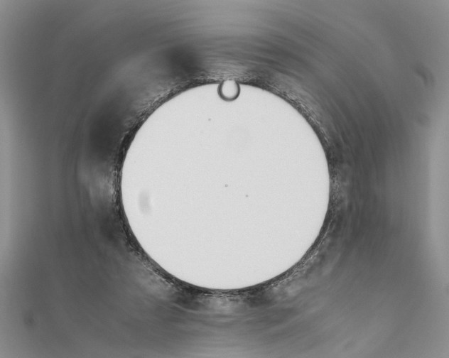 X0000111680305200908141455