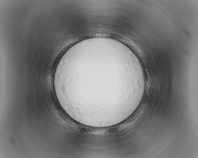 X0000111680306200908141455