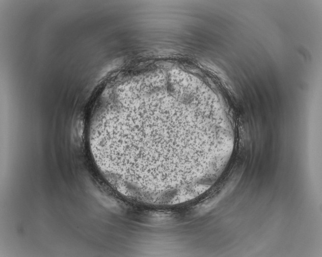 X0000111680308200908141455