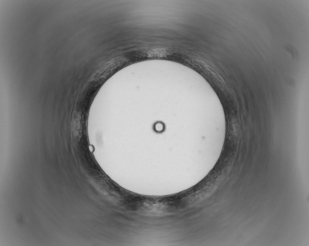 X0000111680311200908141455