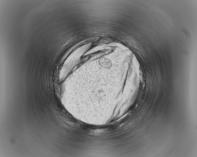 X0000111680312200908141455