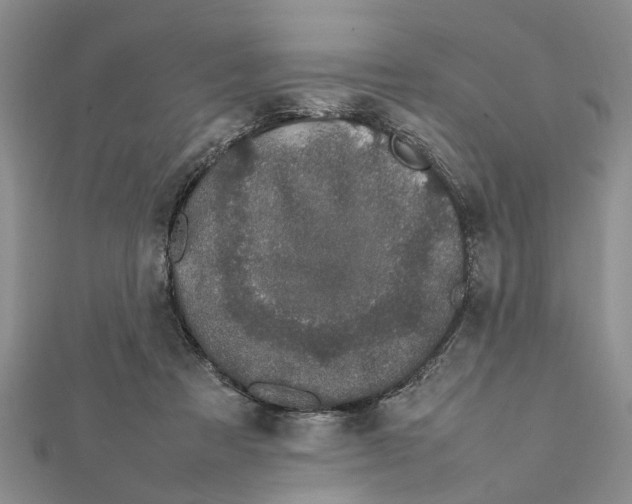 X0000111680313200908141455