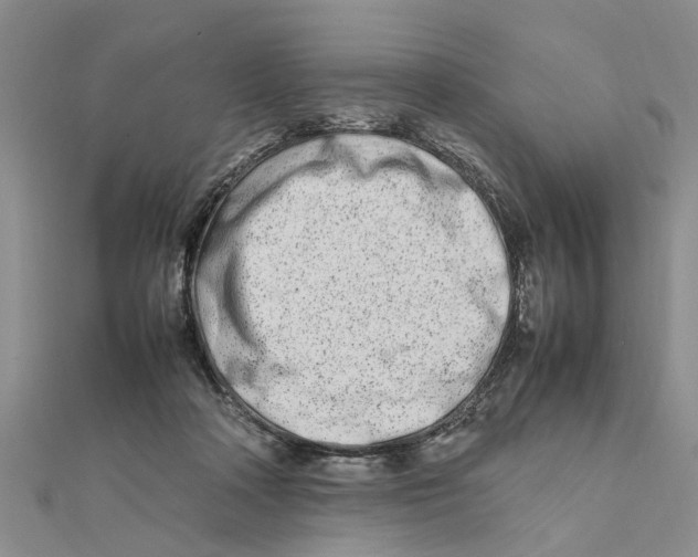 X0000111680314200908141455