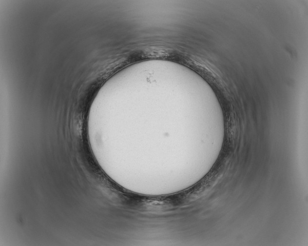 X0000111680315200908141455