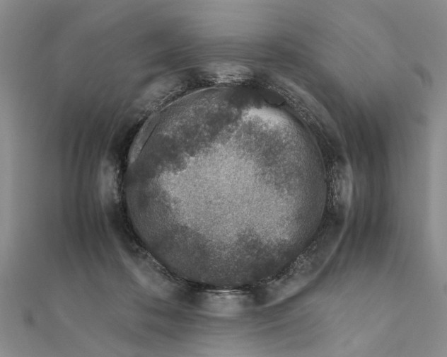 X0000111680316200908141455