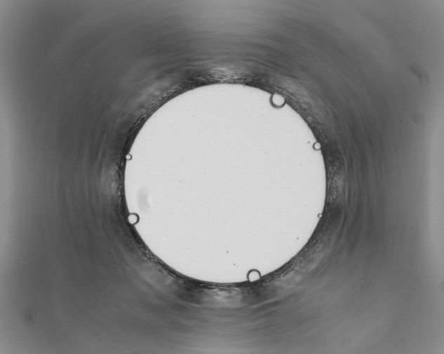 X0000111680317200908141455