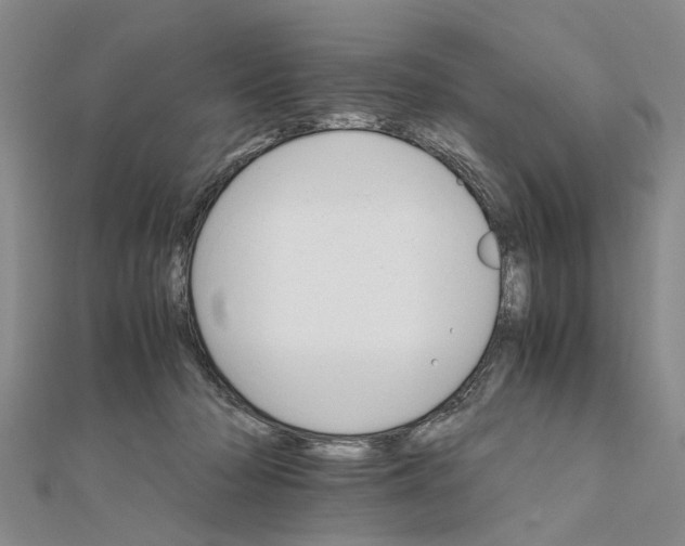 X0000111680318200908141455