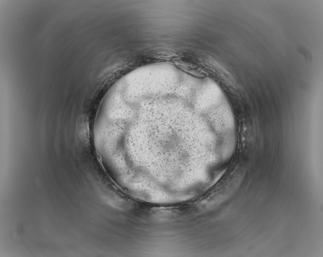 X0000111680320200908141455