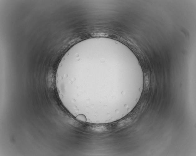 X0000111680322200908141455