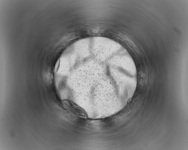 X0000111680324200908141455