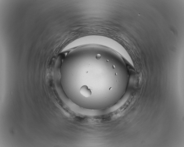 X0000111680327200908141455