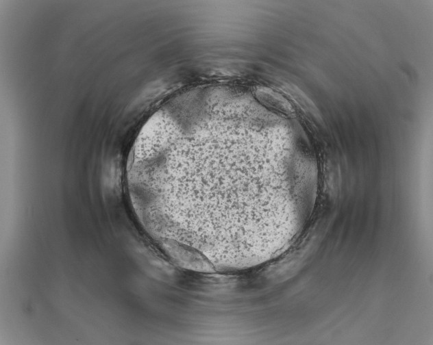 X0000111680328200908141455