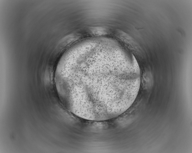 X0000111680330200908141455