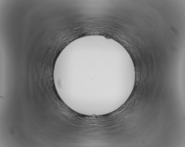 X0000111680331200908141455