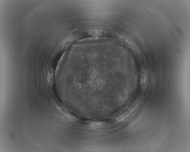 X0000111680332200908141455