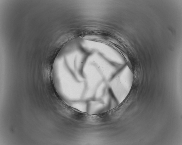 X0000111680333200908141455