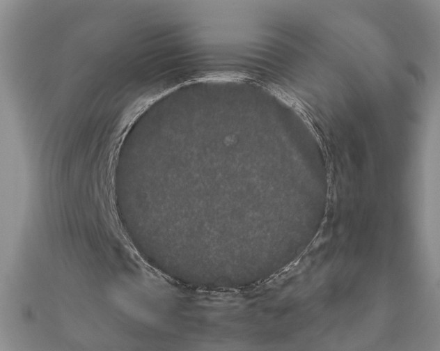 X0000111680337200908141454