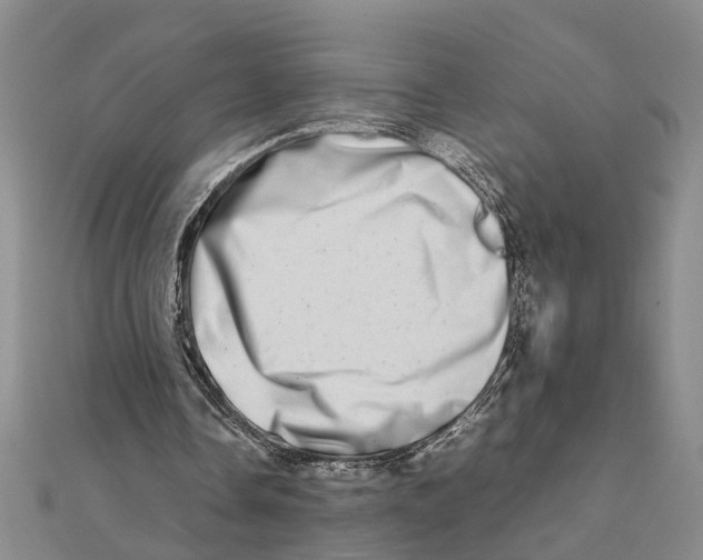 X0000111680338200908141454