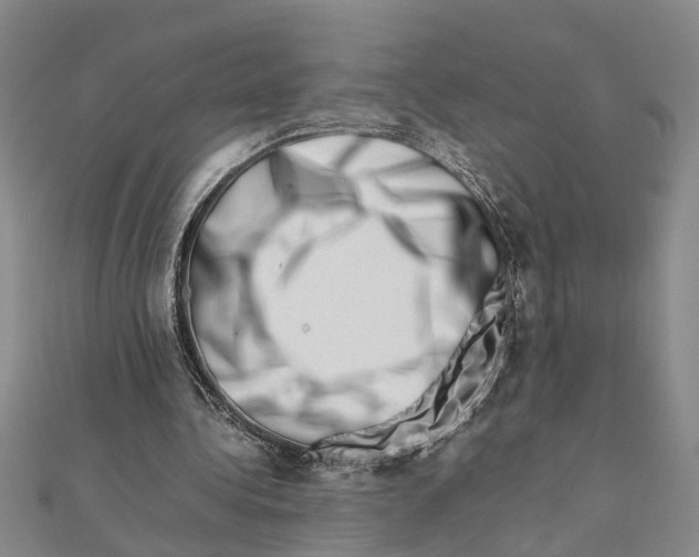 X0000111680340200908141454