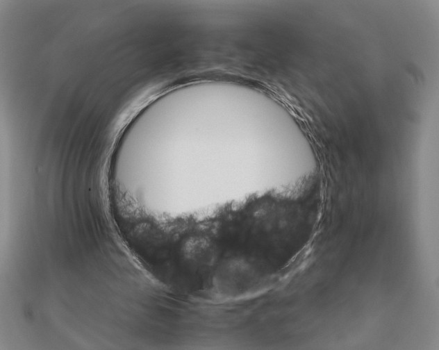 X0000111680341200908141454