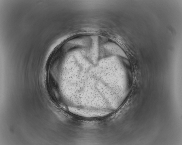 X0000111680342200908141454