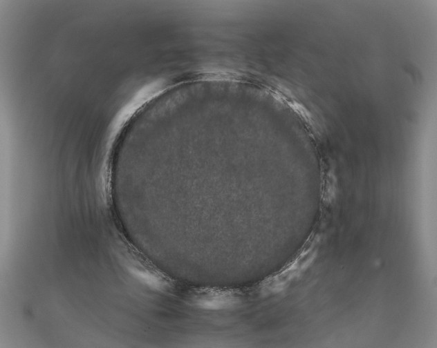 X0000111680343200908141454