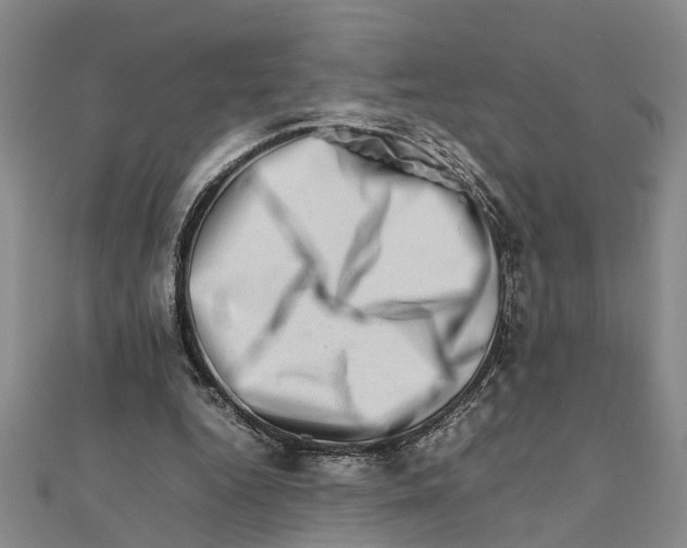 X0000111680344200908141454