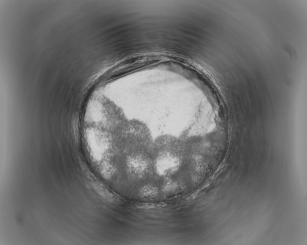 X0000111680345200908141454