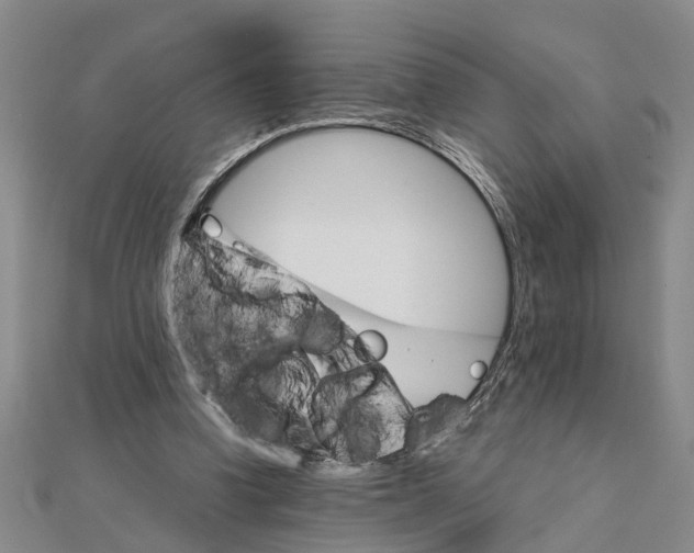 X0000111680346200908141454