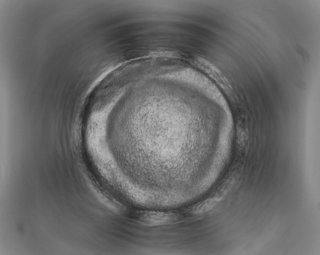 X0000111680347200908141454