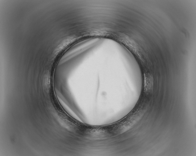 X0000111680348200908141454