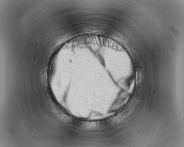 X0000111680349200908141454