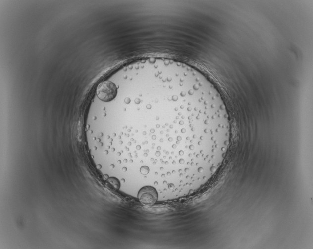 X0000111680351200908141454