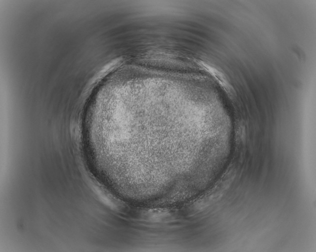 X0000111680353200908141454