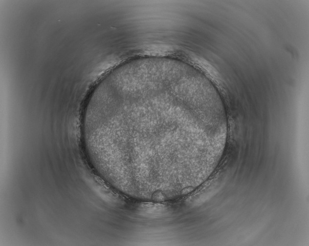 X0000111680354200908141455